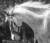 artistic sabino pinto paso fino head shot