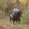 Pinto Paso Fino trail horse - Regalo de Marichalo 20 years old